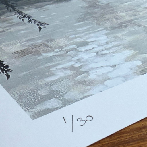 0414 – Impresión artística de edición limitada (30 x 30 cm) – firmada y numerada – incluye certificado