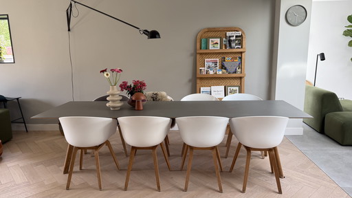 Hay AAC 22 || 8 sedie