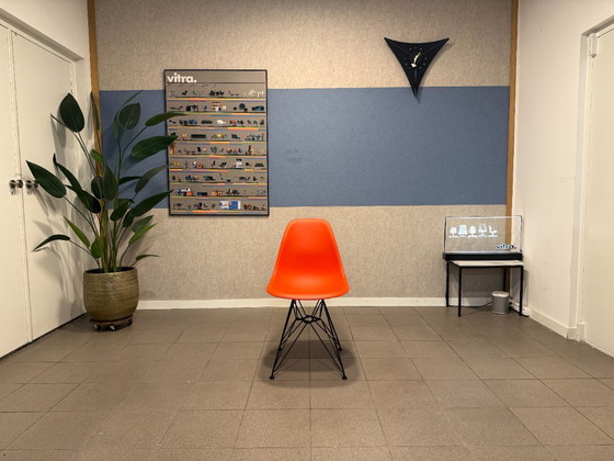Vitra | Eames | DSR | Rusty Orange | 1 pieza – Sillas de comedor, Metal, Plástico (photo 2 of 10)