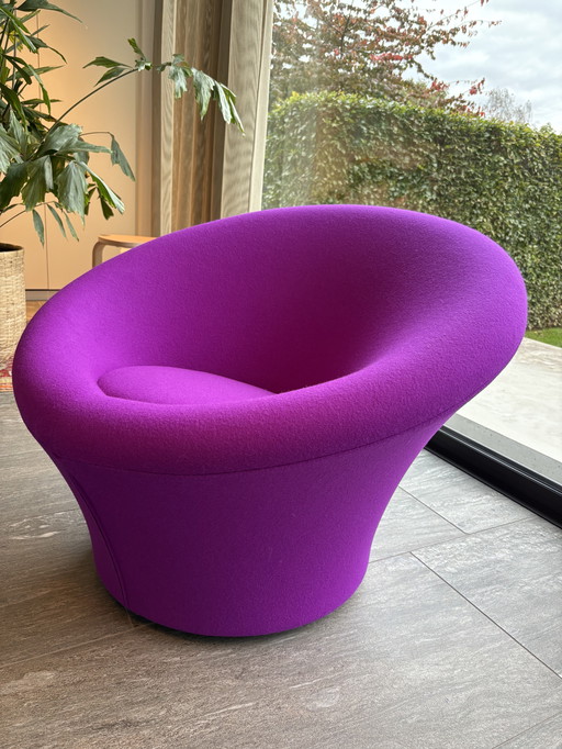 Fungo Artifort in Divina 666