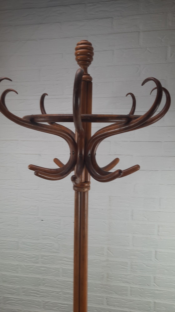 Image 1 of Appendiabiti da terra Thonet