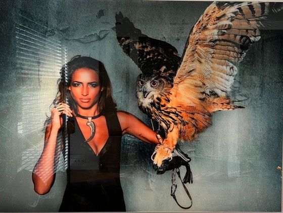 Image 1 of Cobra Art & Oscar Munar - Les prouesses de la chouette