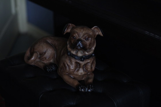 Image 1 of Bild eines Hundes