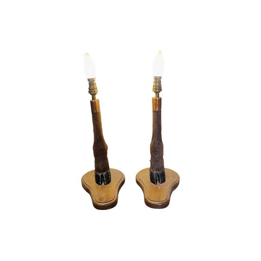Vintage französische Tischlampen mit Hirschbeinen, 60er/70er Jahre – tafellampen, Other (photo 2 of 6)