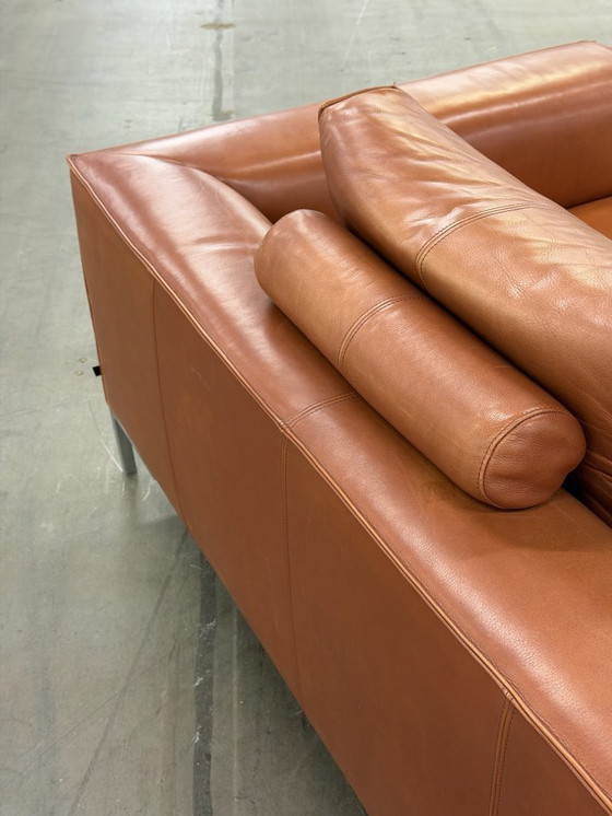 Image 1 of Design on Stock Aikon Lounge | Pelle color cognac