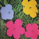 Andy Warhol---Fleurs II ----TRÈS GRAND !!!