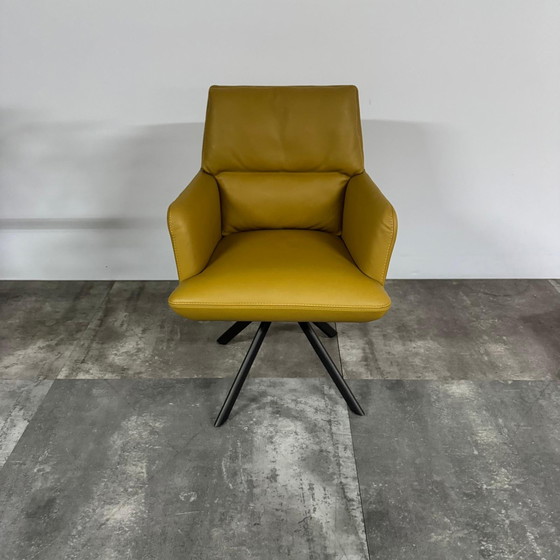 Image 1 of Roos  Set van 6