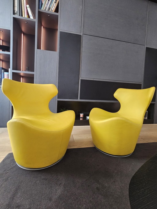 Piccola Papilio fauteuils B&B Italia