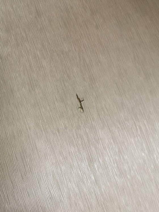 Image 1 of Original Vintage Chairs - 1960s