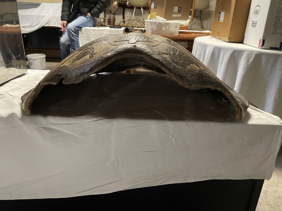 Image 1 of Decoración de pared de tortuga