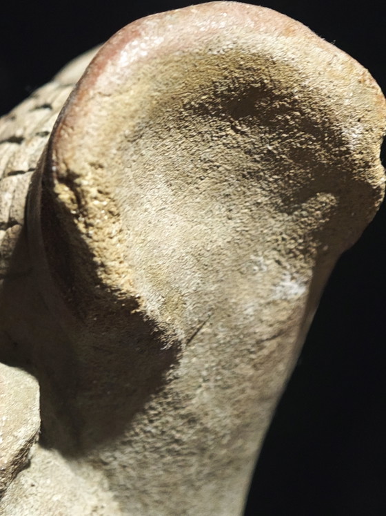 Estatuilla precolombina – Esculturas, Ceramic (photo 9 of 15)