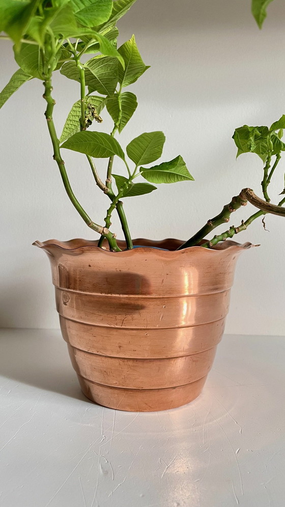 Image 1 of Mur de Barrez" planter France 1960s