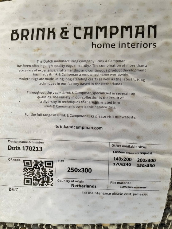 Image 1 of Carpet 250/350 Brink & Campman