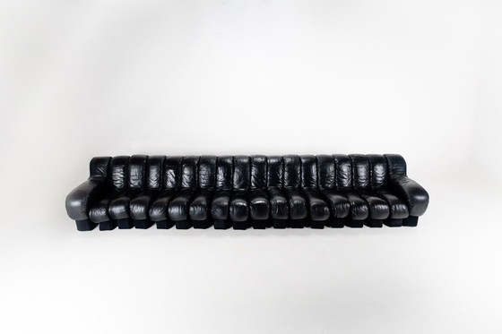 Image 1 of DS-600 Snake or Endless Sofa by De Sede, 18 Elements, Switzerland, 1970
