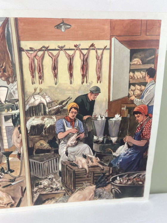 Image 1 of Manifesto scolastico Rossignol Elocution CE3 “Laboratorio di cucito”