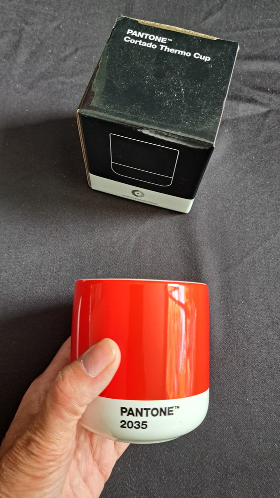 Image 1 of Tazze a doppia parete NUOVA Scandinavia