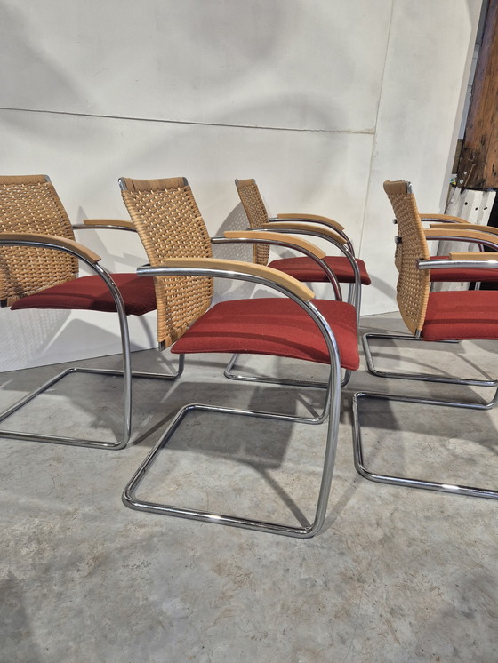 Image 1 of 5 Thonet S78 S79 Cantilever Dining Chairs