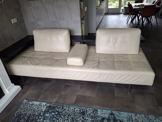 Rolf Benz Dono 3-seater – Sofas, Leather, Wood (photo 7 of 9)