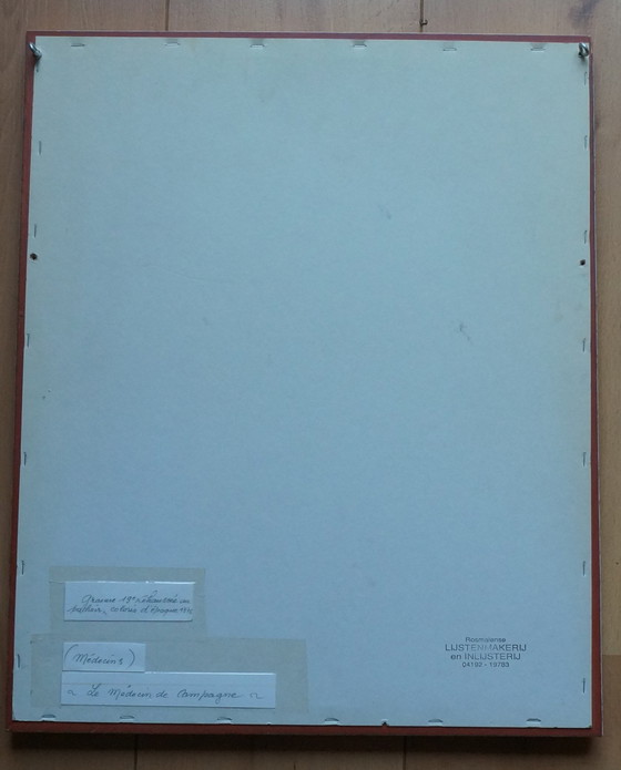 Image 1 of Litho: La medicina della campagna