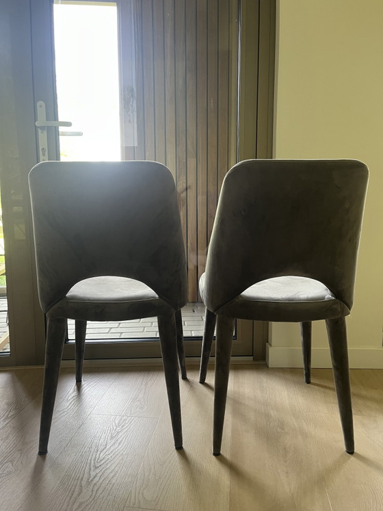 Image 1 of Silla sagrada Pols Potten de terciopelo gris