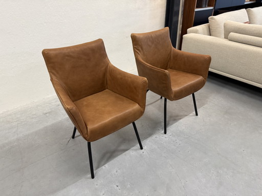 2 Etichetta van den Berg Chief Low Cognac in pelle