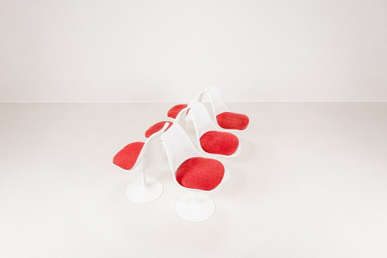 Image 1 of Set of 6 Tulip Dining Chairs by Maurice Burke for Arkana, England, 1960s