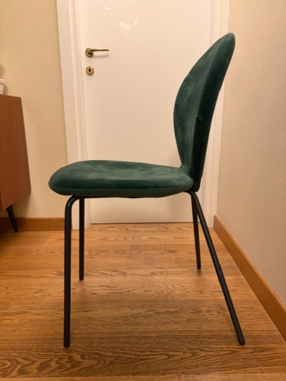 6 Riflessi "Sofia" Eetkamerstoelen - Groen Fluweel. Elegant en Iconisch Model – Textiel (photo 2 of 5)