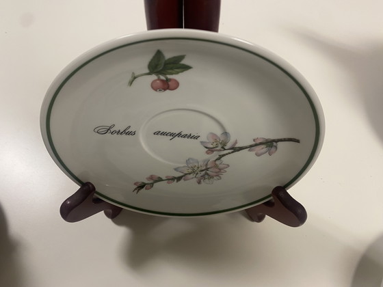Image 1 of Apilco Elysian Garden Tableware