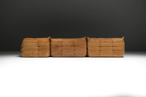 Image 1 of Perfect Rich Patinated Togo in Original Natural Leather by Michel Ducaroy - Ligne Roset