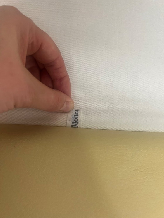 Image 1 of Molteni &amp; C 2 Sedie da seduta