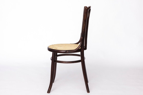 Image 1 of Fischel Bentwood Chair – Early 20th Century Thonet Style, Beechwood Frame with New Cane Seat, Antique Vintage Chair