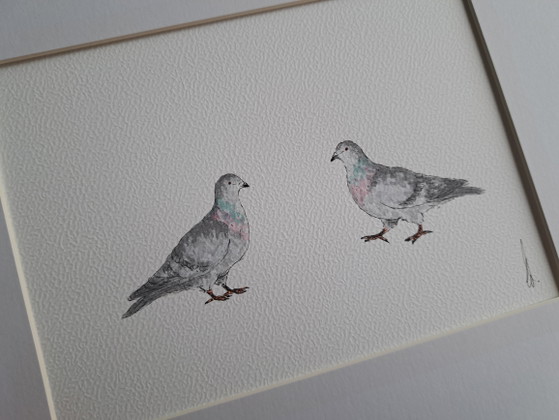 Pintura en acuarela de pequeñas palomas | Incluye marco – Pinturas y dibujos, Paper (photo 4 of 5)