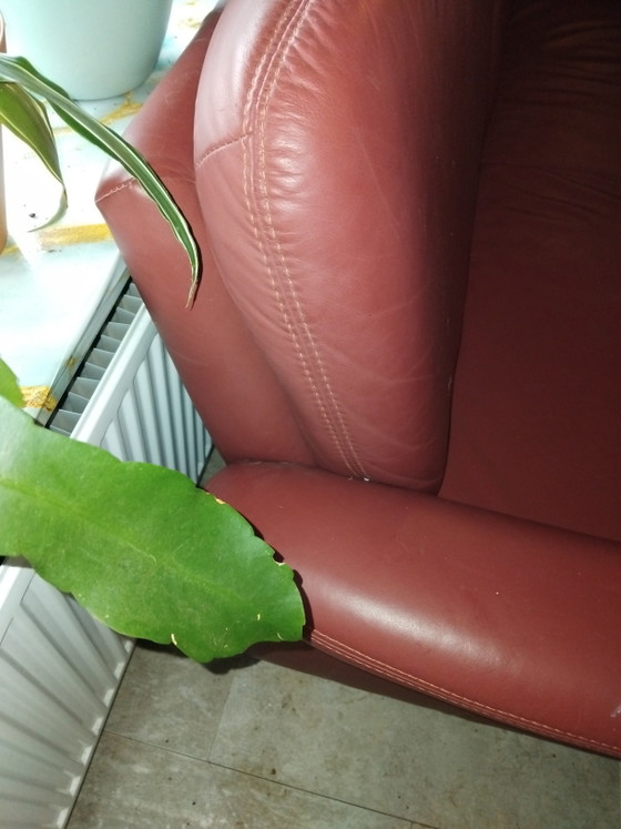 Leather Sofa – 2 seaters (photo 6 of 6)