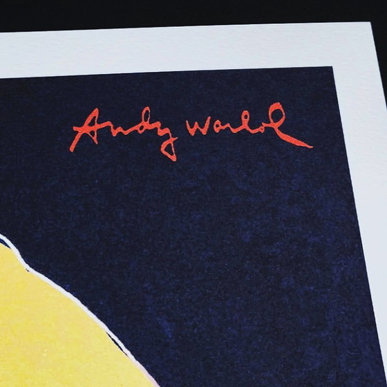 Image 1 of Litografia in edizione limitata "Barbie" di Andy Warhol, realizzata da CMOA.