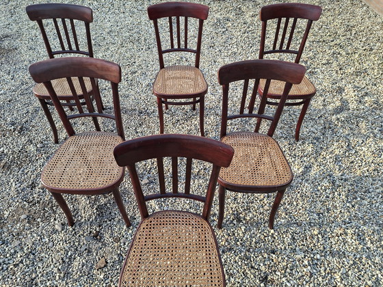 Image 1 of Set di 6 sedie vintage di design Thonet