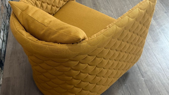 Image 1 of Ocre de la plaine nuageuse de Naughtone