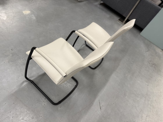 Image 1 of 2 Leolux Freyr Sedia da pranzo Senso Pampas