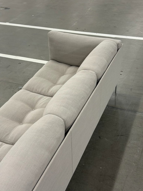 Divano Living Divani Rod | Sabbia – Divani 3 posti, Tessile (photo 6 of 16)