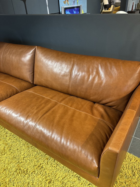 Image 1 of Montis Axel 4-Personen-Sofa