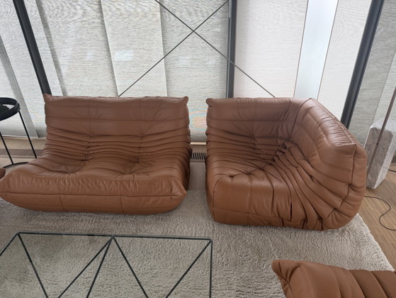 Togo Salonzetels Ligne Roset – Modulare Sofas, Leather (photo 5 of 7)