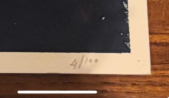 Image 1 of Zeefdruk Rinke Nijburg 2018