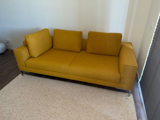 Splendido divano Aikon a 3 posti, disponibile in pronta consegna – Giallo Girasole 🌻 – Design on Stock (photo 4 of 16)
