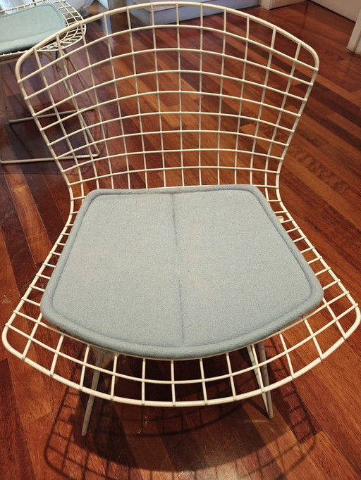 Chaises d'appoint Harry Bertoia 5x Knoll International