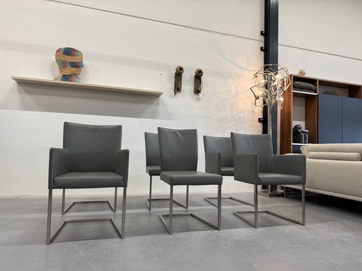 6 Bert Plantagie Tidy & Misty Sedie da pranzo in pelle grigia