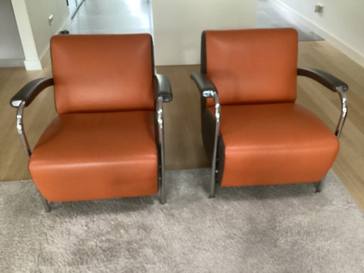 2 Leolux Scylla fauteuils