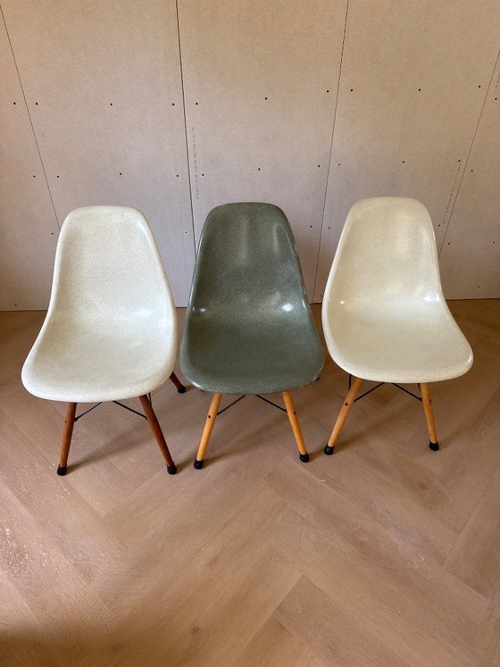 Sedia Eames in fibra di vetro Modernica Los Angeles Sedie da pranzo – Vitra, Wood, Plastic (photo 2 of 8)