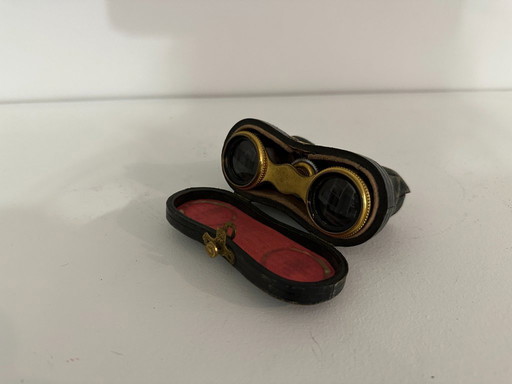 Antique Brass and Mother-of-Pearl Theater Binoculars, with Original Case