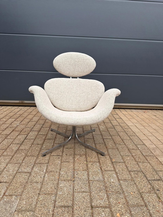 Image 1 of Artifort Big Tulip 1ª Edición 1958 Pierre Paulin, ¡¡¡Impecable estado nuevo!!!