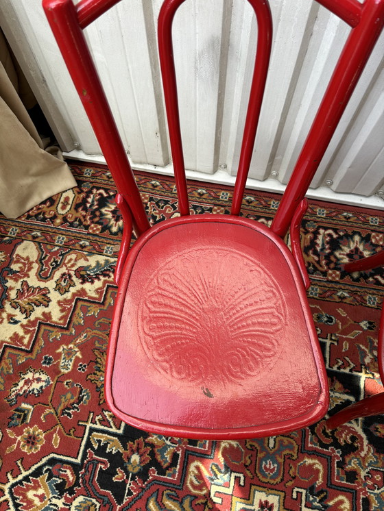 Image 1 of Vintage Thonet stoelen Mundus