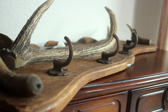 Image 1 of Eccezionale armadio in legno con corna e 4 ganci in metallo